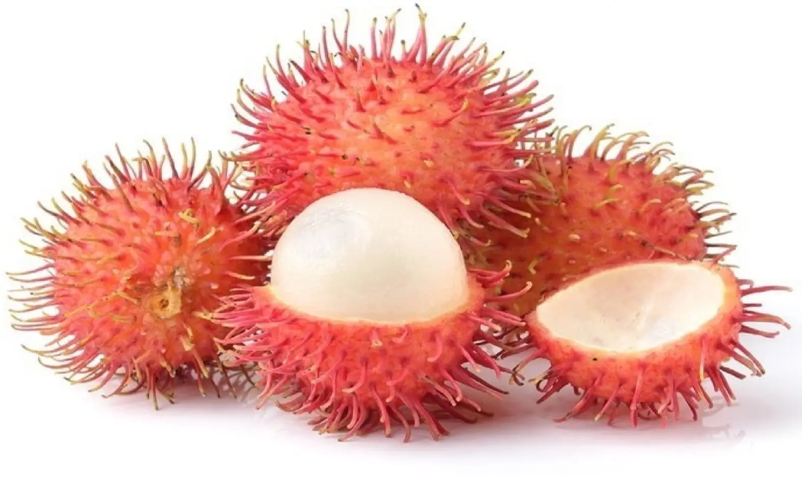 kerala-rambutan-fruit