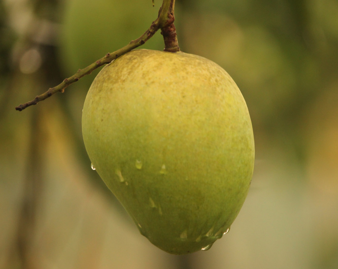 2024-05-10-663e53fbe160f