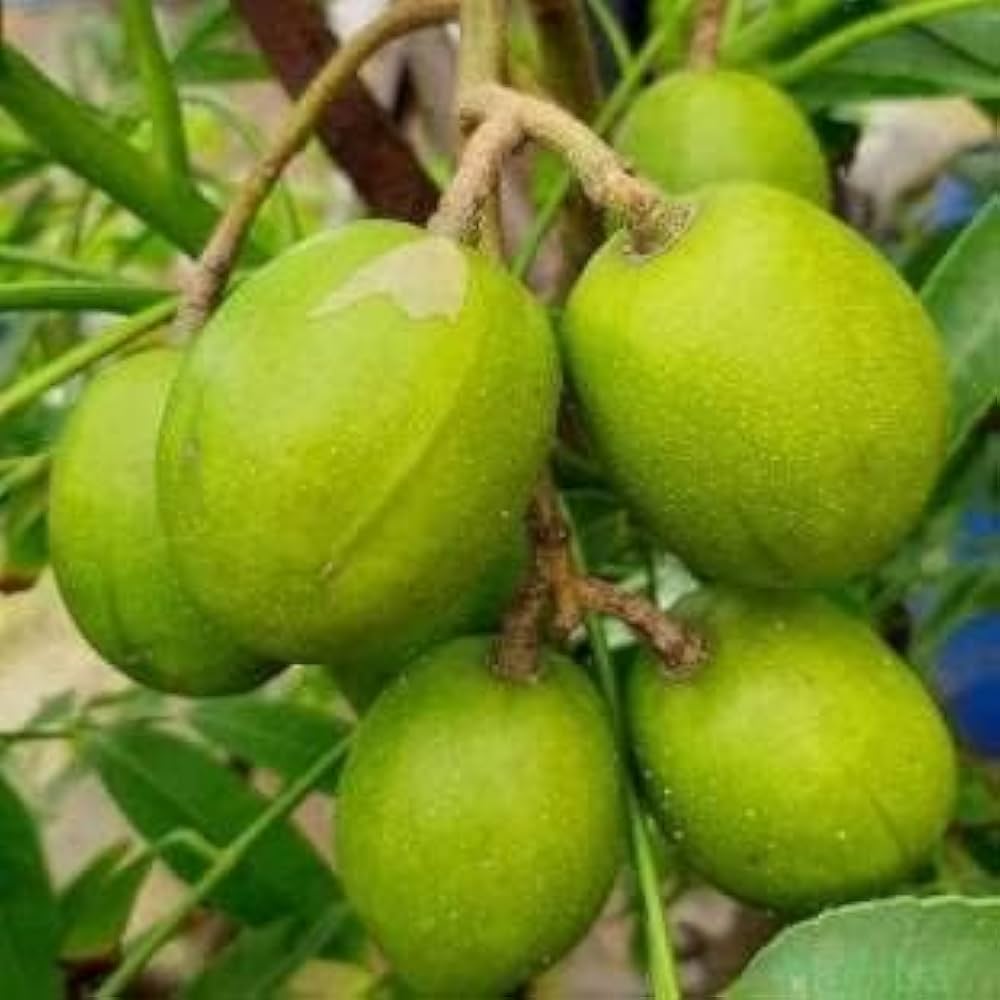 313aMeekAuL._AC_UF1000,1000_QL80_