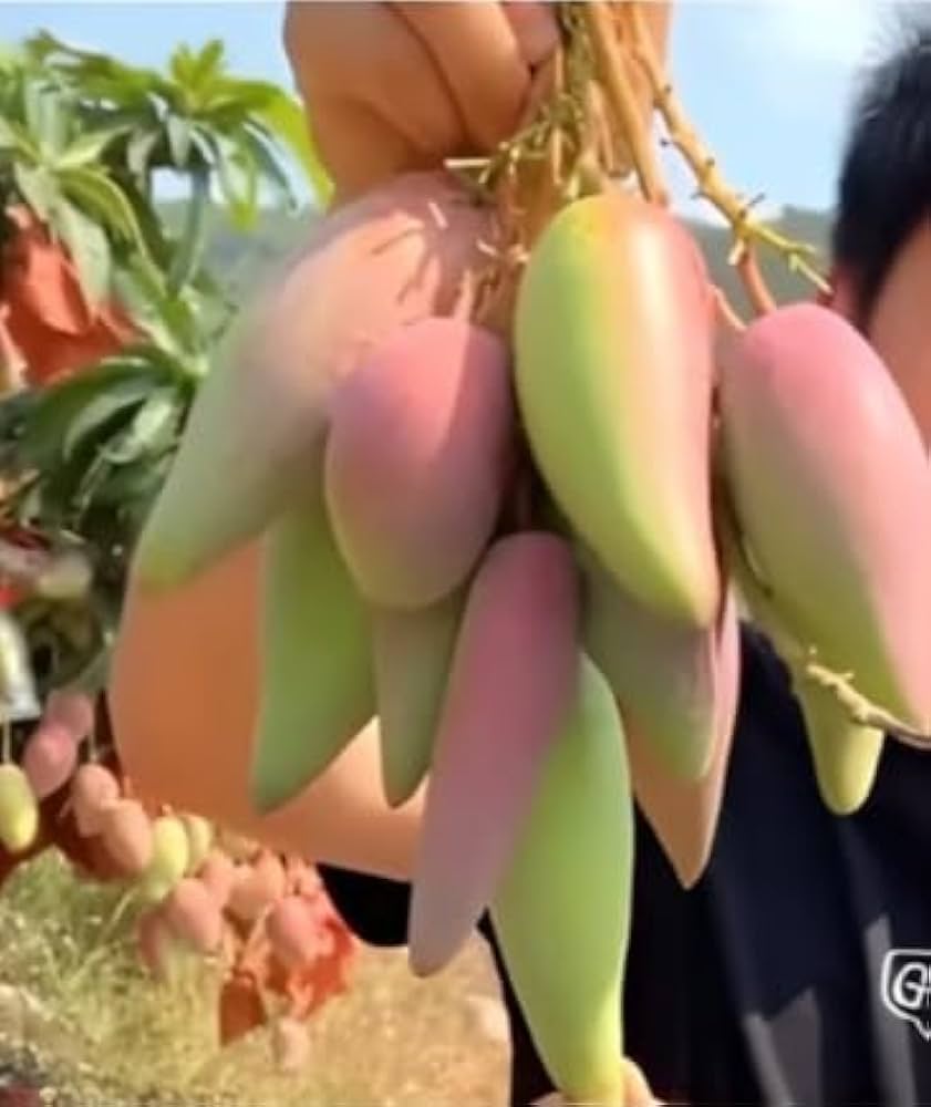 41mQsx8us6L._AC_UF1000,1000_QL80_