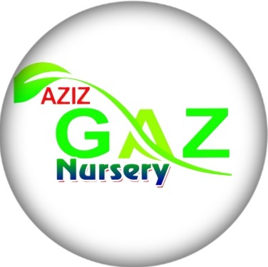 azizgazinursery.com