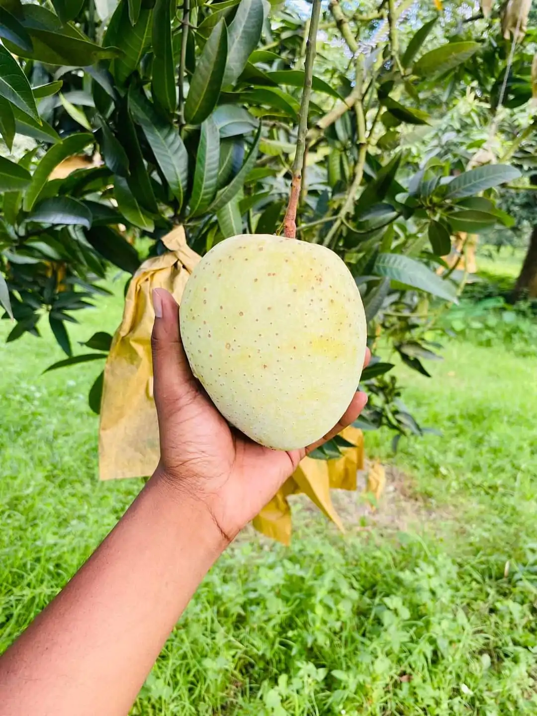 WhatsApp-Image-2024-02-20-at-09.20.36