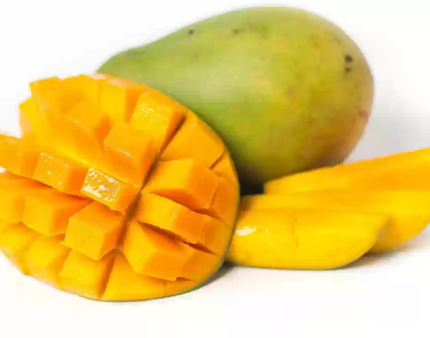 yes-perennial-yes-himsagar-hybrid-mango-plant-ig879-small-1-grow-original-imah3k9k5ykghv9g